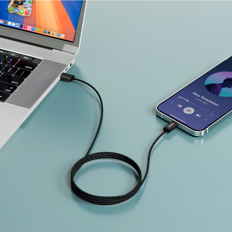 Philips USB-A to Lightning Sync & Charge Cable 1M